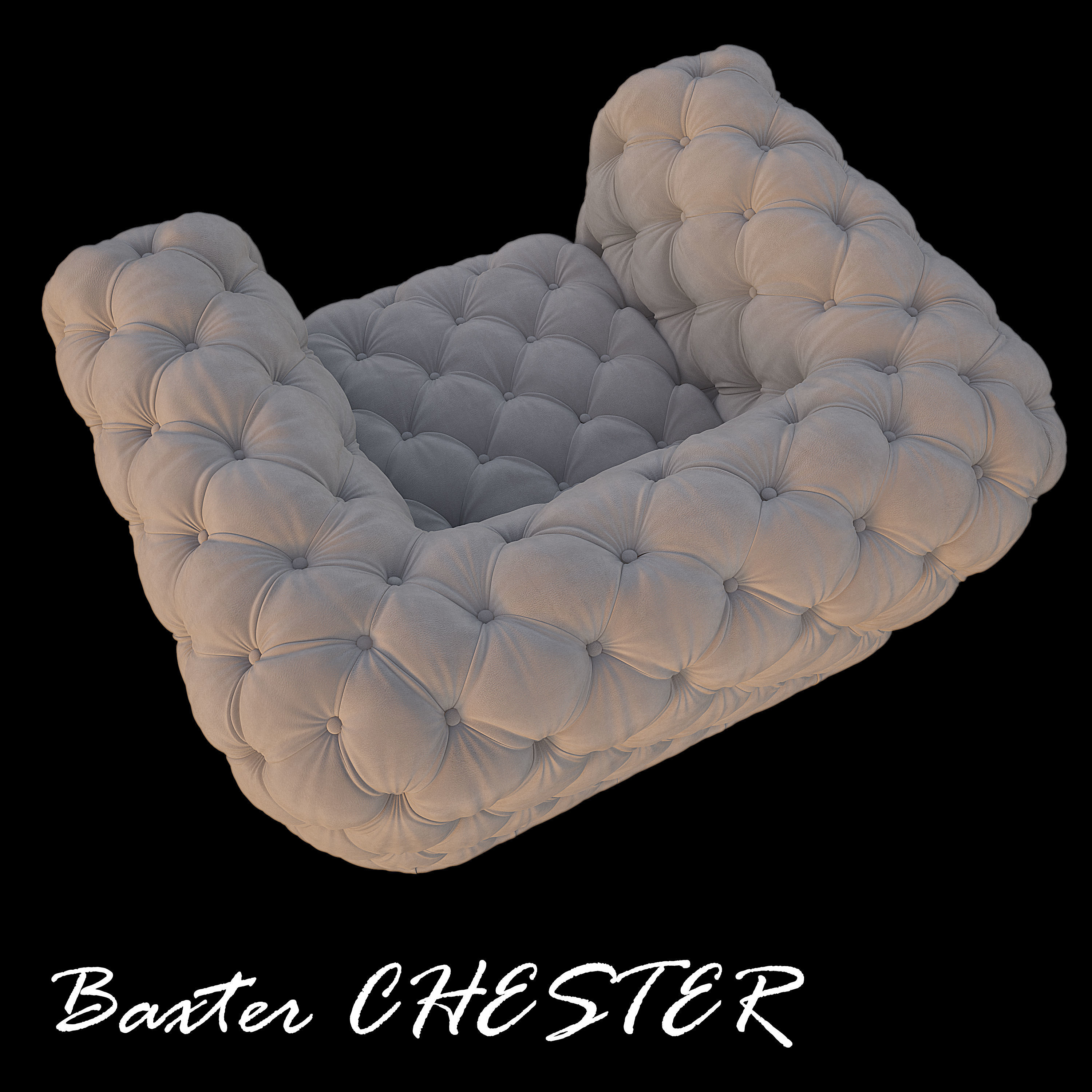 Baxter CHESTER 3D model Low-poly 3D model_6