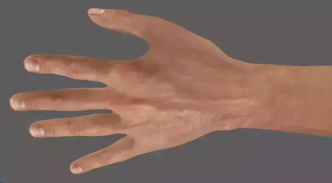 high resolution hand ready for close shoots 