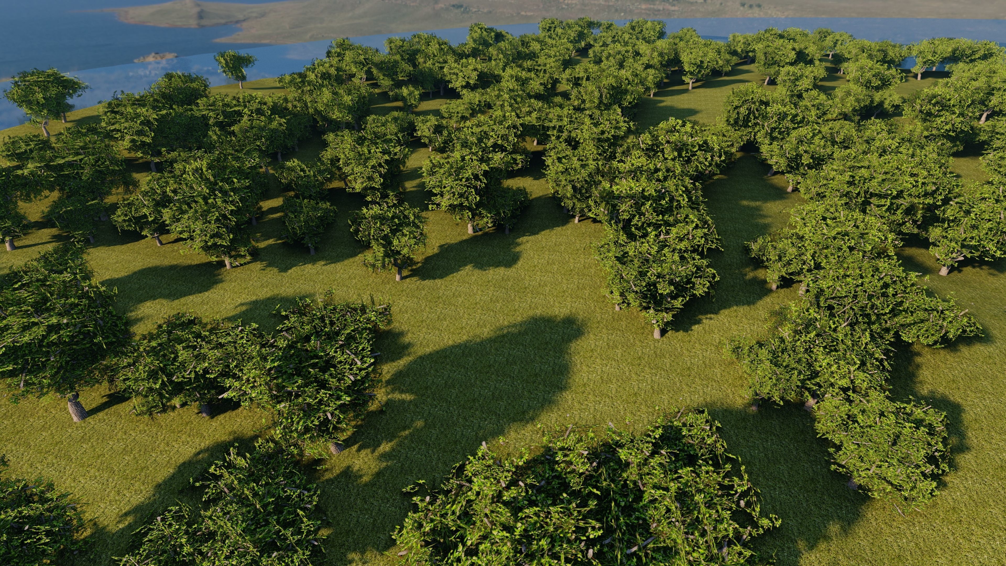 Lowpoly 3D Tree faces trs Low-poly 3D model_5