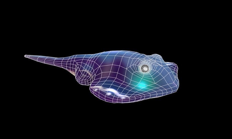 stingray fish with glowing eyes Low-poly 3D model_5