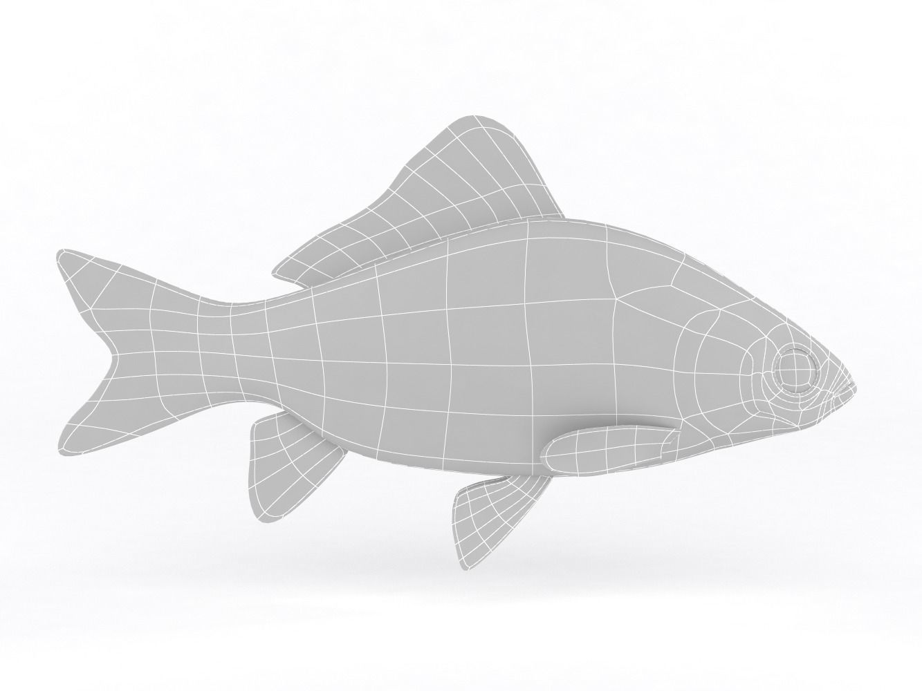 Fish Crucian Carp 3D model_5