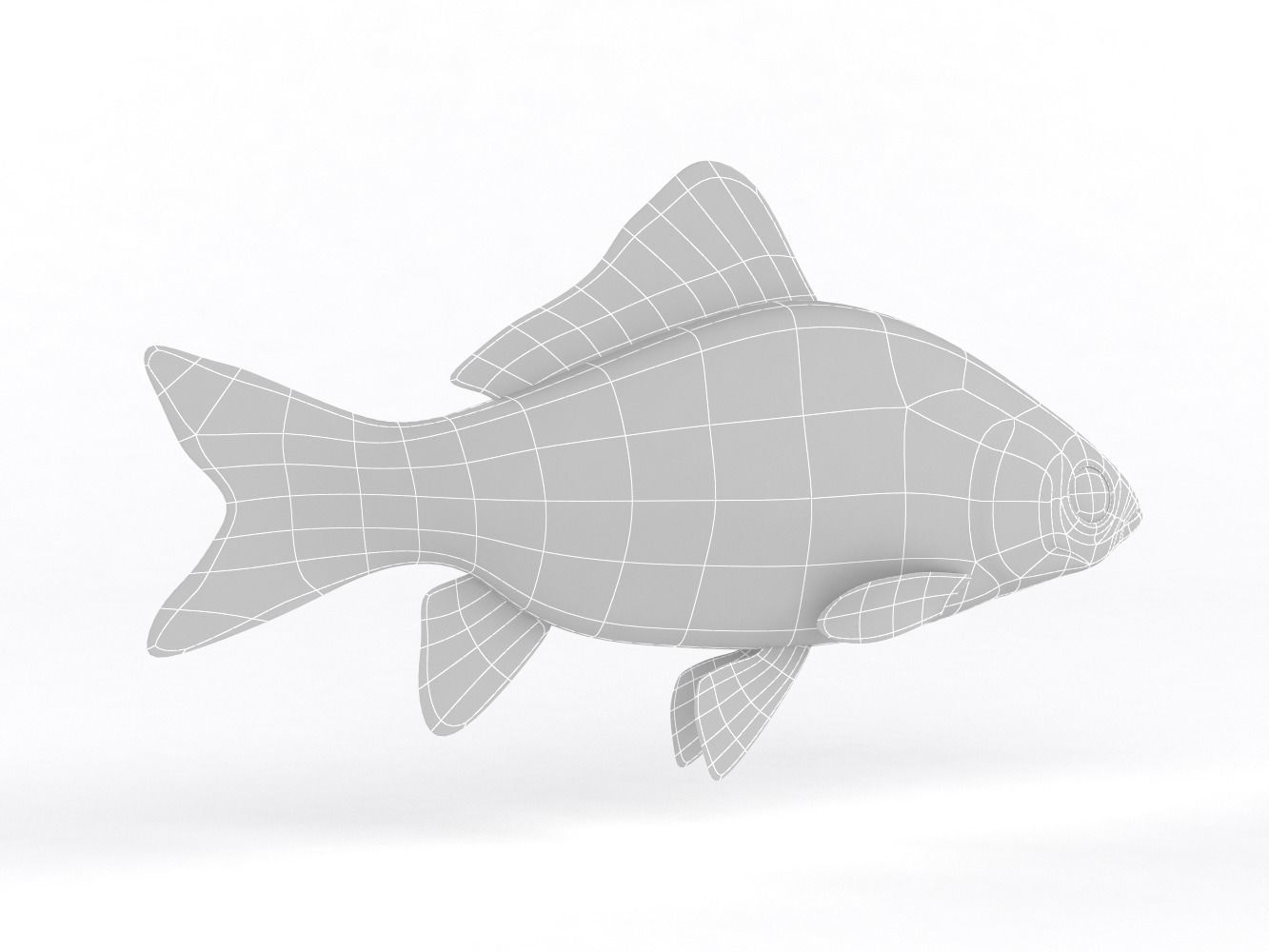 Fish Crucian Carp 3D model_7