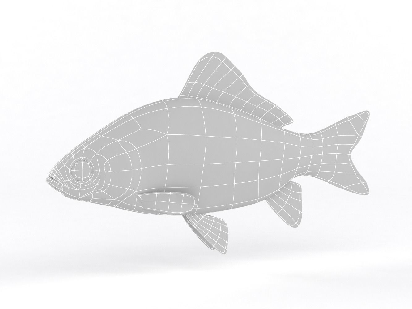 Fish Crucian Carp 3D model_6