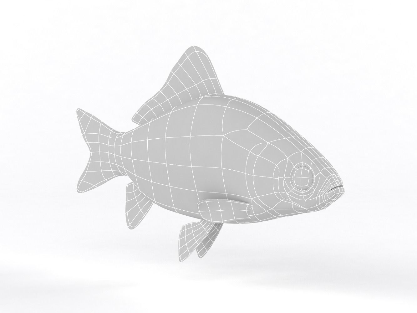 Fish Crucian Carp 3D model_8