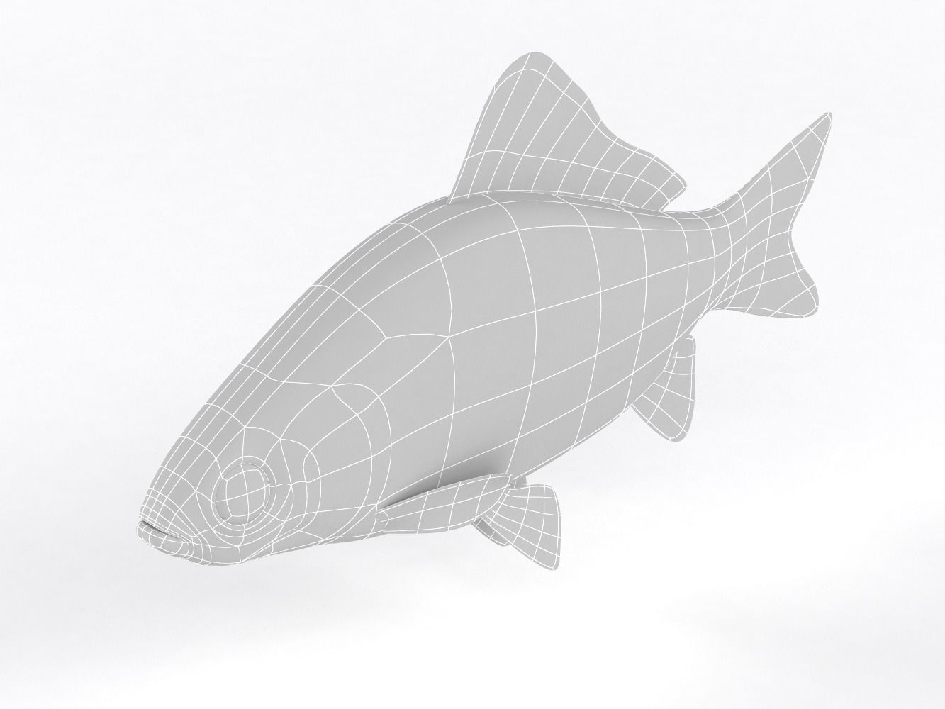Fish Crucian Carp 3D model_9