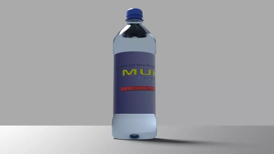 Water bottle 3D model_0