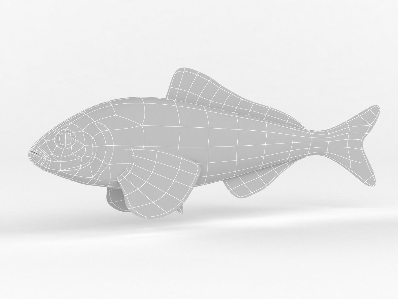 Fish Greenling 3D model_7