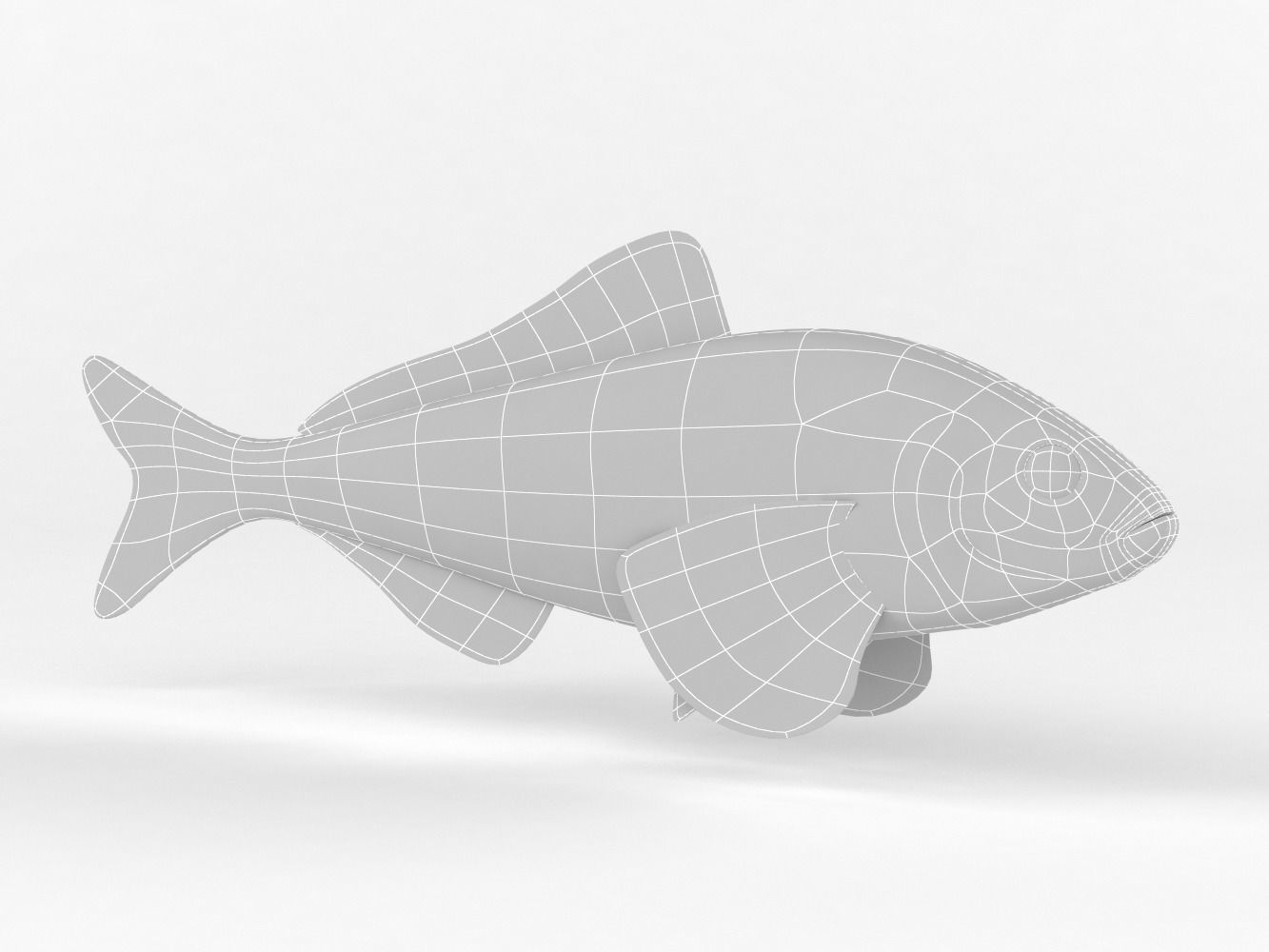 Fish Greenling 3D model_8