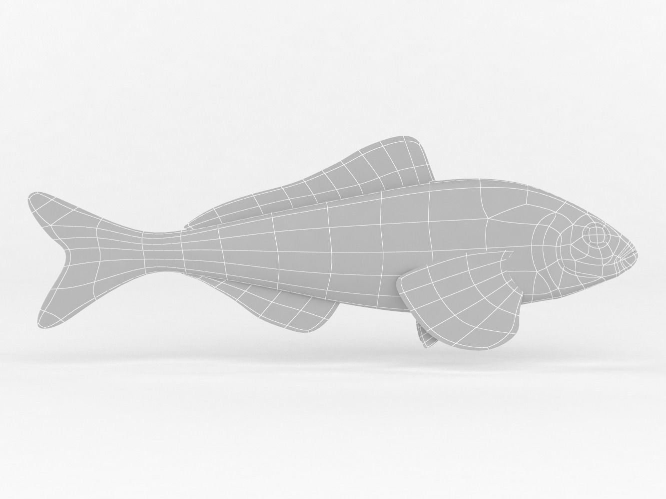 Fish Greenling 3D model_6