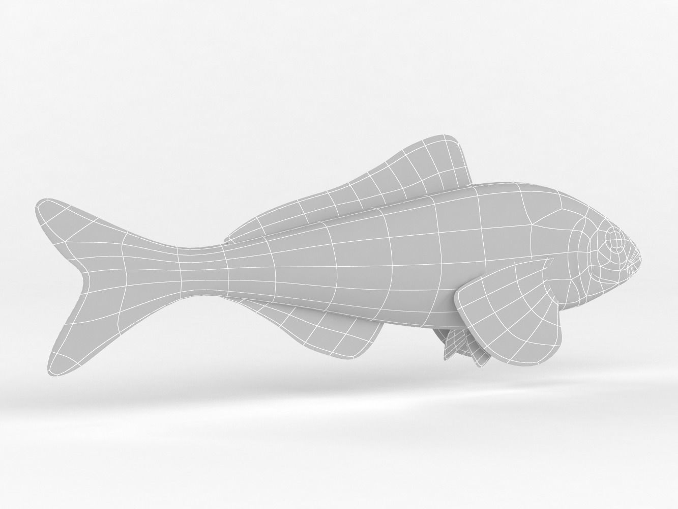 Fish Greenling 3D model_9