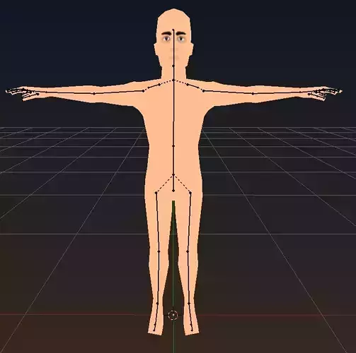 Low Poly Man and Woman models Rigged Uv Unwrapped Textured Low-poly 3D model