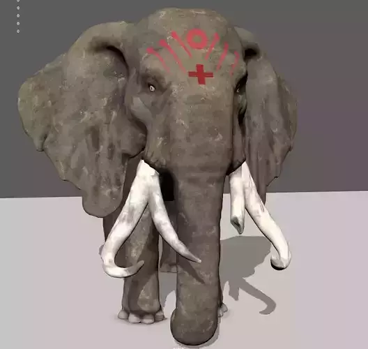 elephant high resolution