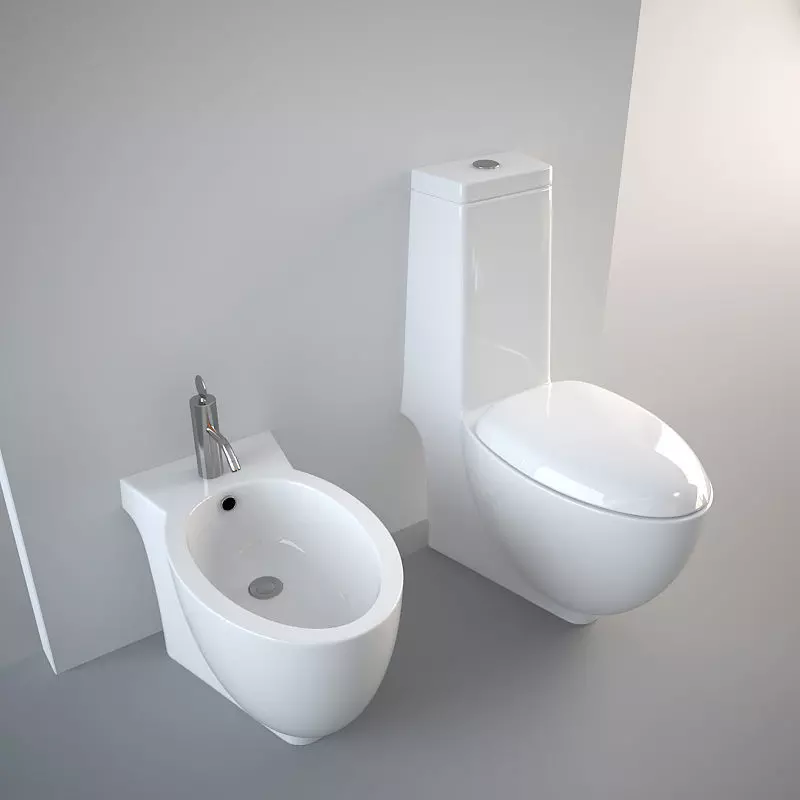 Generic Bidet and Toilet 3D model