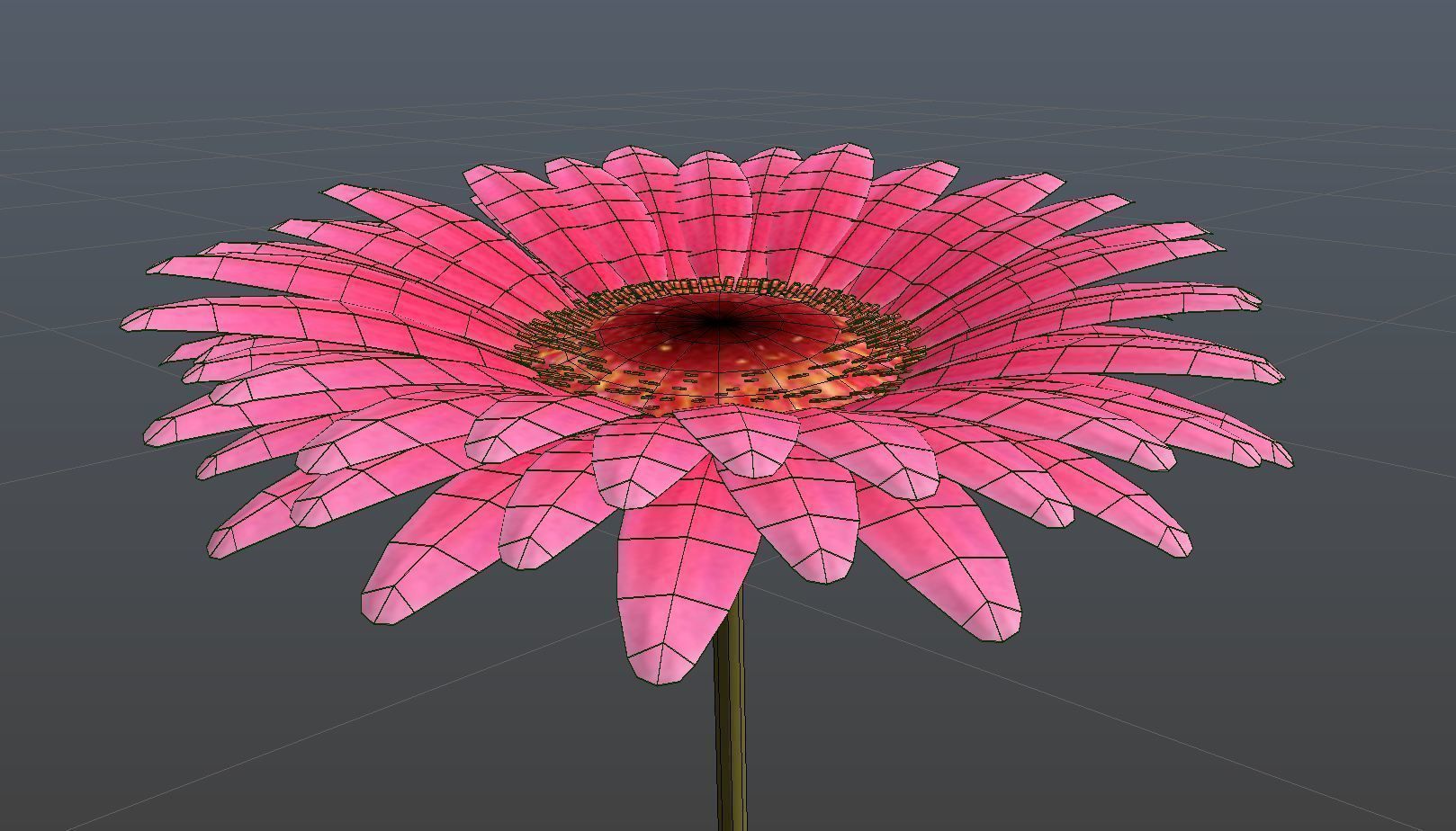 Gerbera daisy on stem 3D model_2