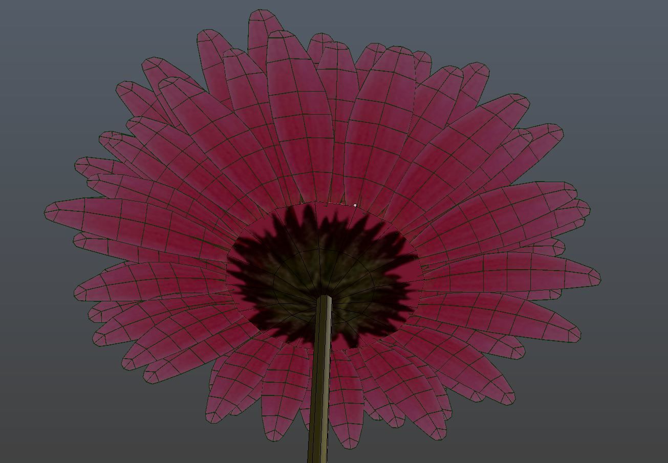 Gerbera daisy on stem 3D model_3