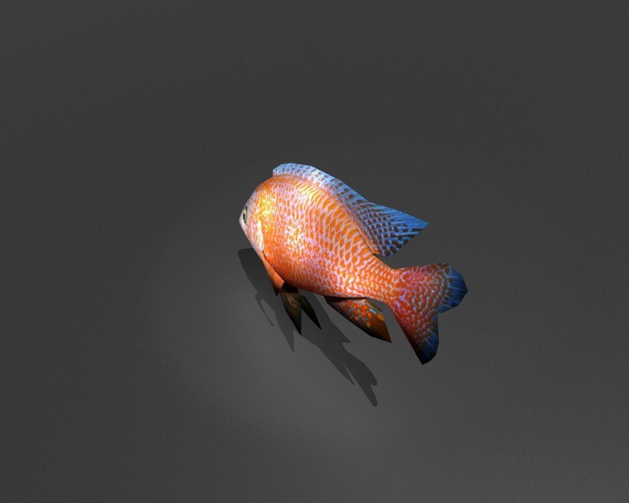 Dragonblood Peacock Low-poly 3D model_3