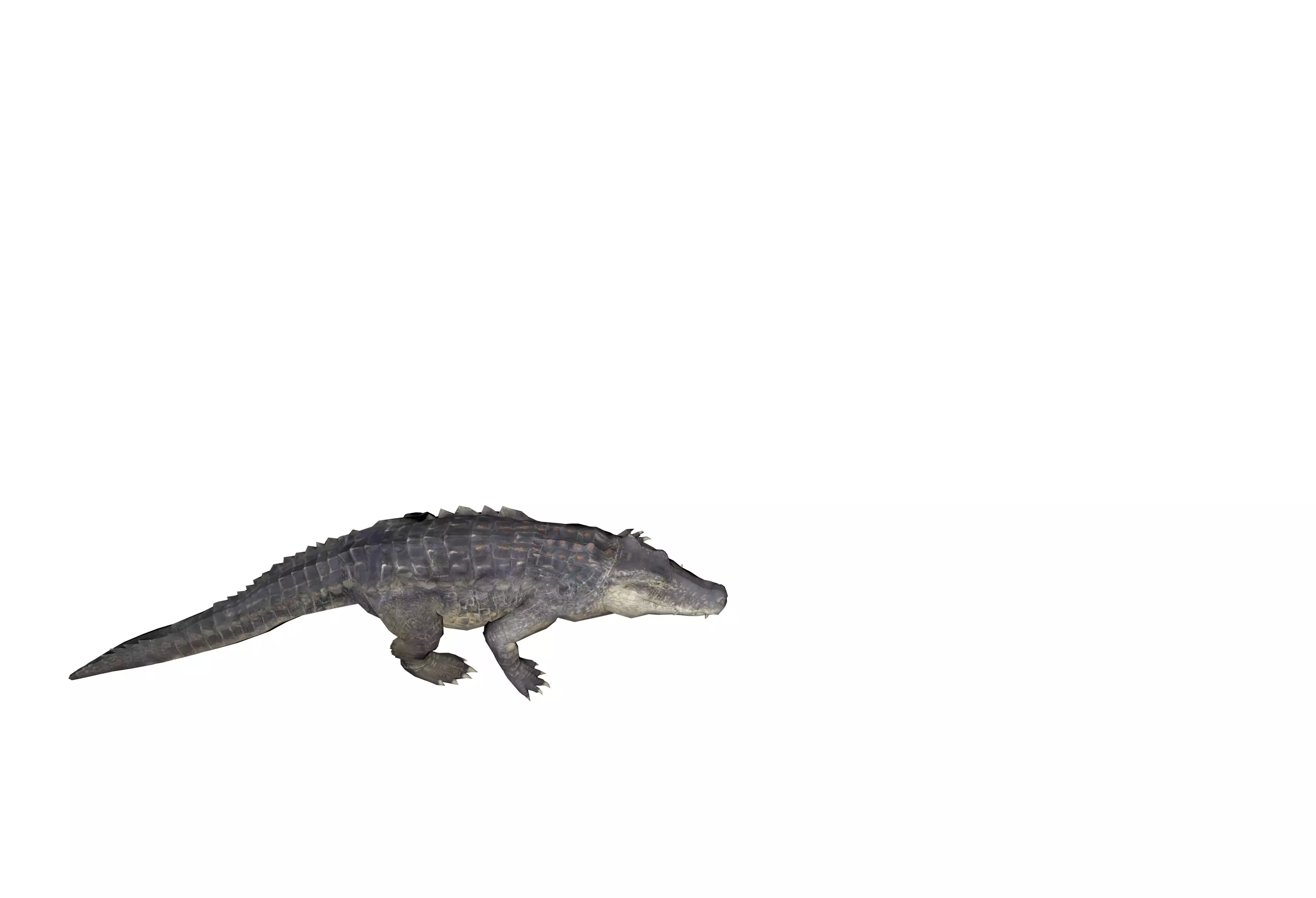 alligator animation Low-poly 3D model_0