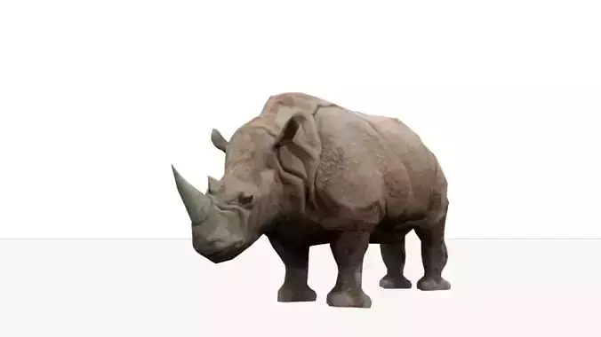 Rhino animation