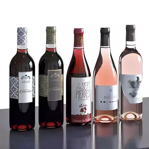 Bouteilles Vol 07 vin 3D model
