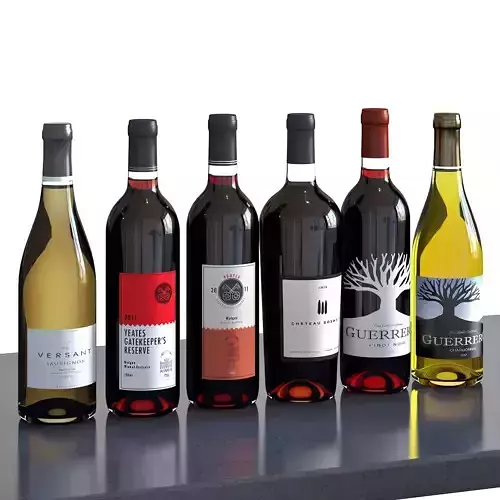 Bouteilles Vol 08 Vin 3D model