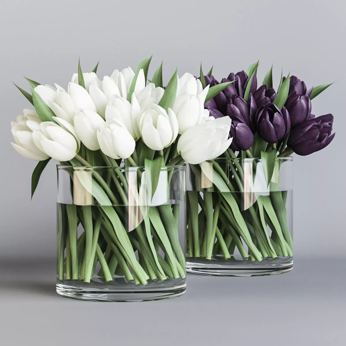 White and purple tulips 3D model