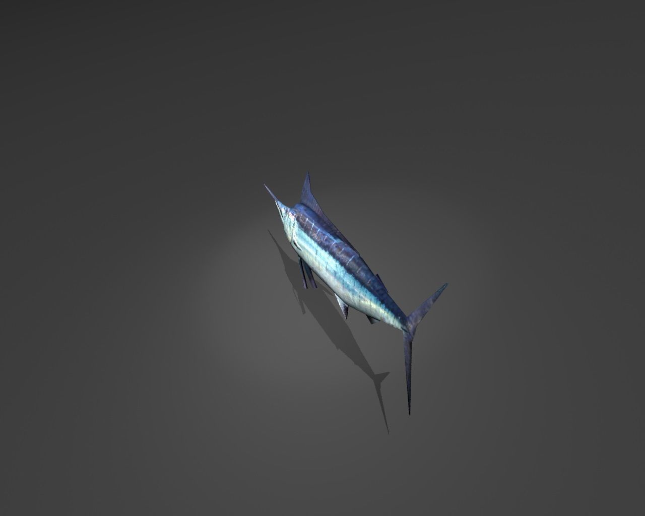 Blue Marlin Low-poly 3D model_3