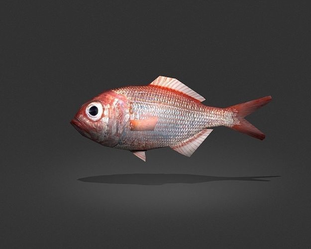 Lutjanus Vivanus Low-poly 3D model