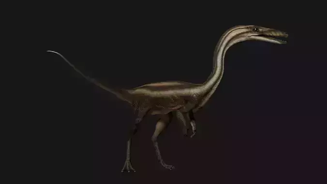 Coelophysis dinosaur Low-poly 3D model