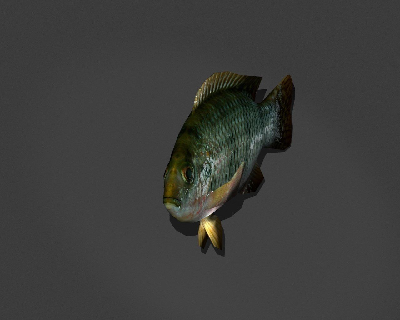 Green Sunfish Low-poly 3D model_1