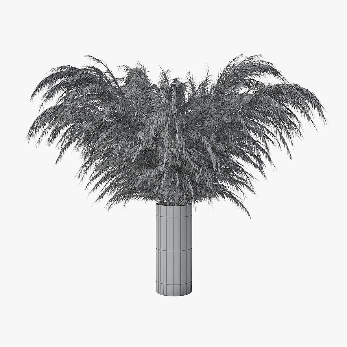 Pampas grass 01 3D model_3