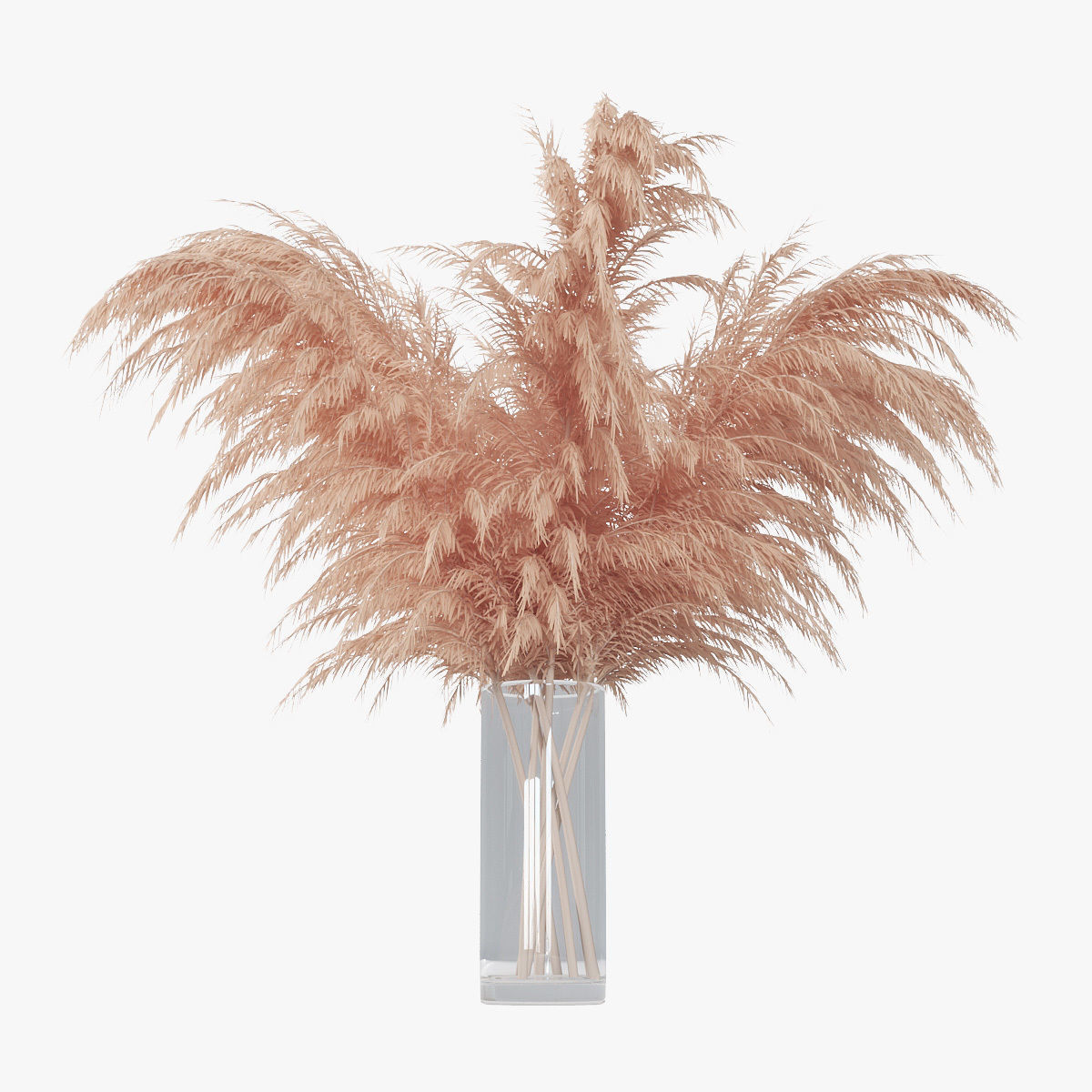 Pampas grass 01 3D model_11