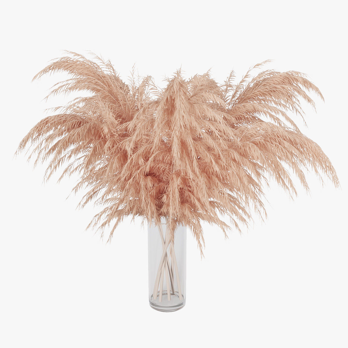 Pampas grass 01 3D model_9
