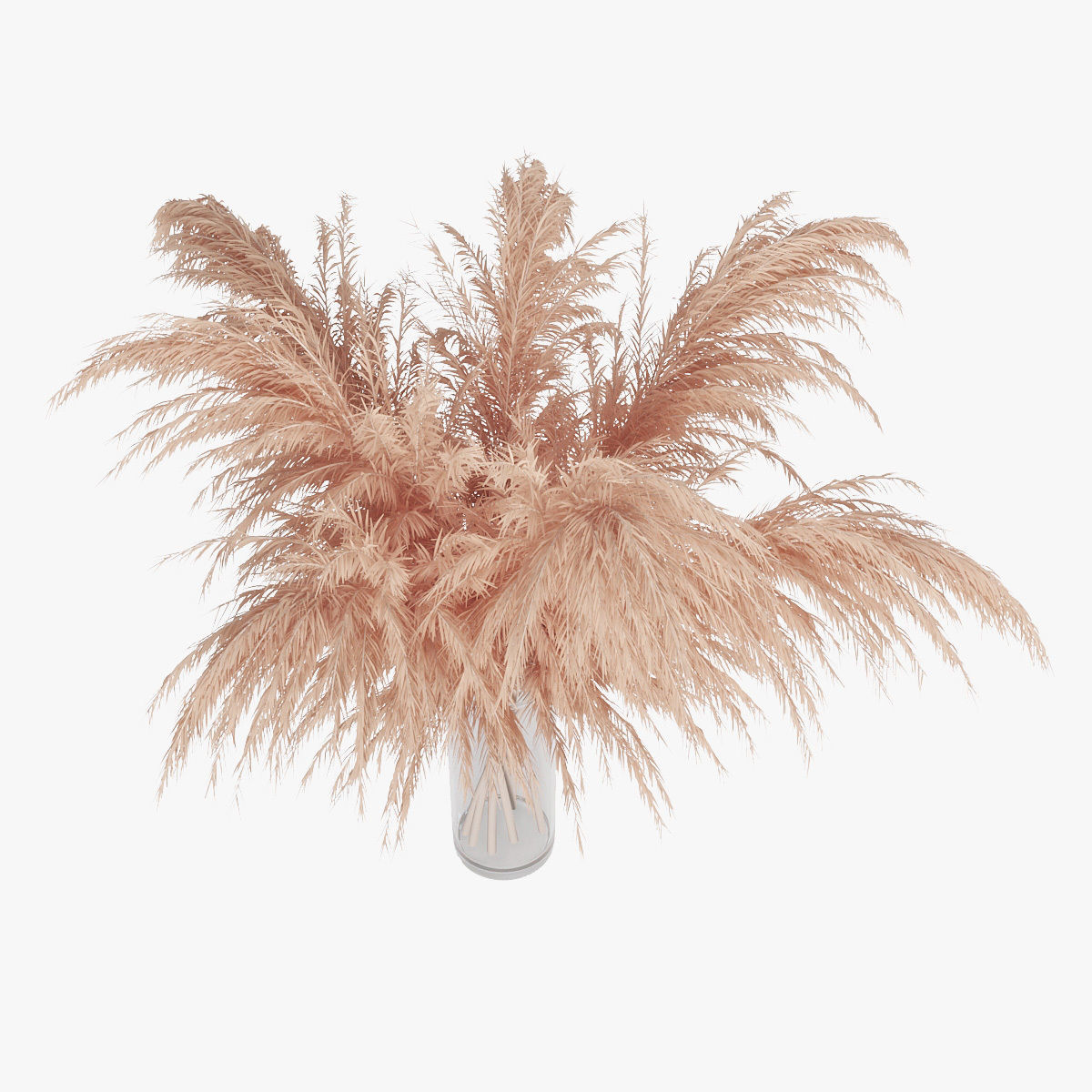 Pampas grass 01 3D model_8