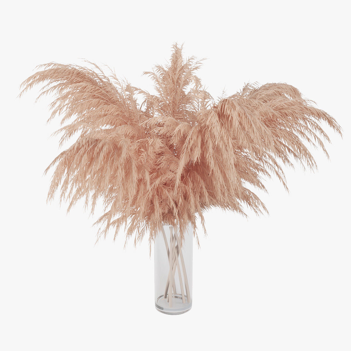 Pampas grass 01 3D model_10