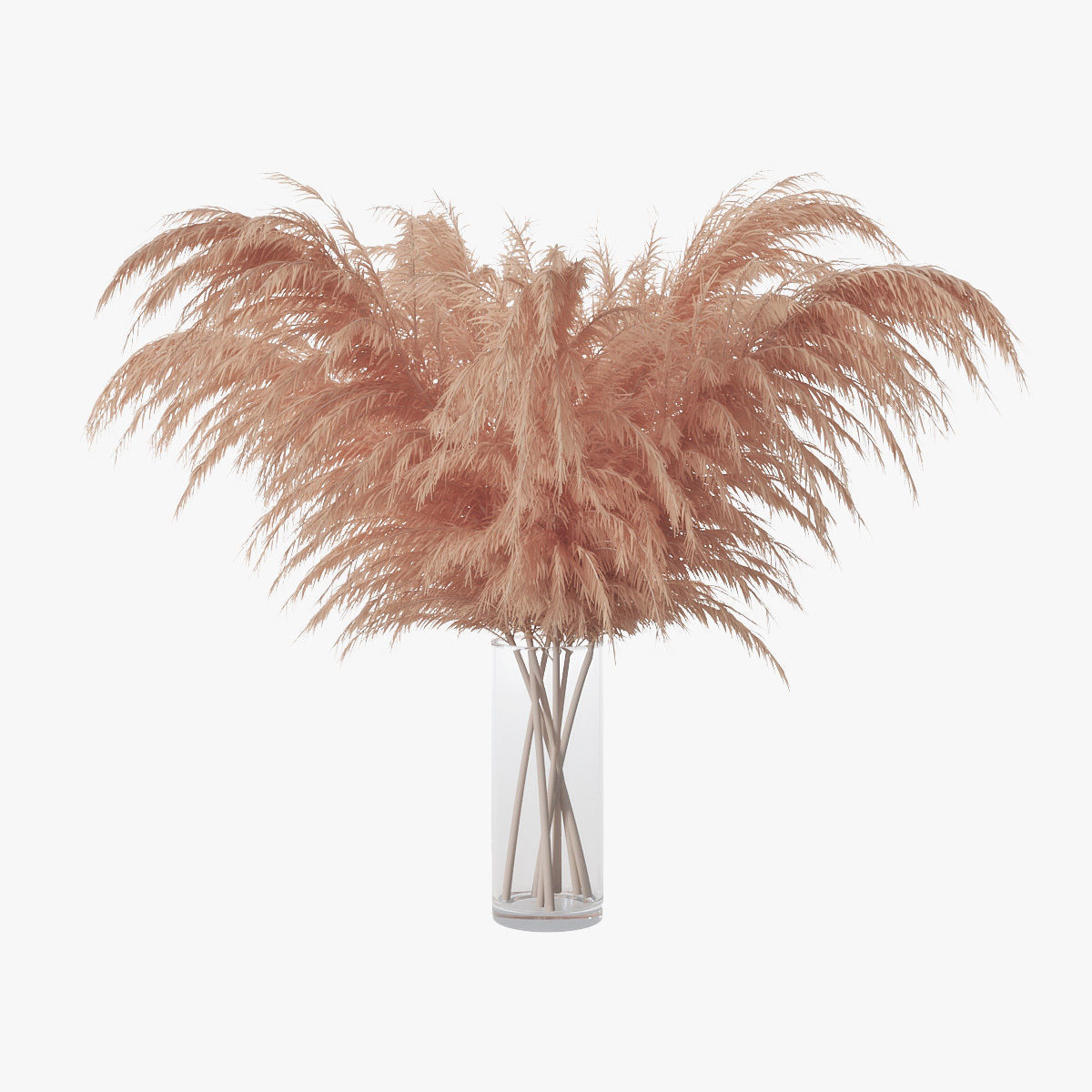 Pampas grass 01 3D model_0