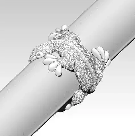 Lizard rign dragon reptile dinosaur