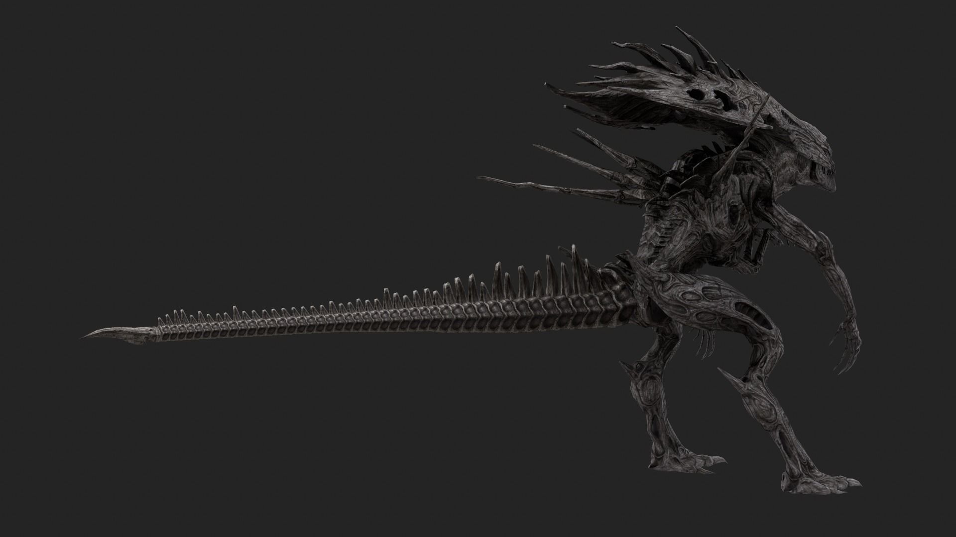 Alien 1007 3D model_7