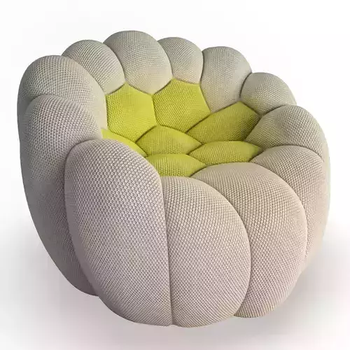 Bubble Armchair Roche Bobois