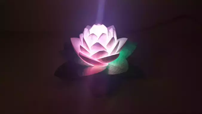 Lotus Lamp