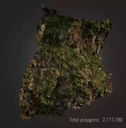 Mossy tree bark photoscan 3D model