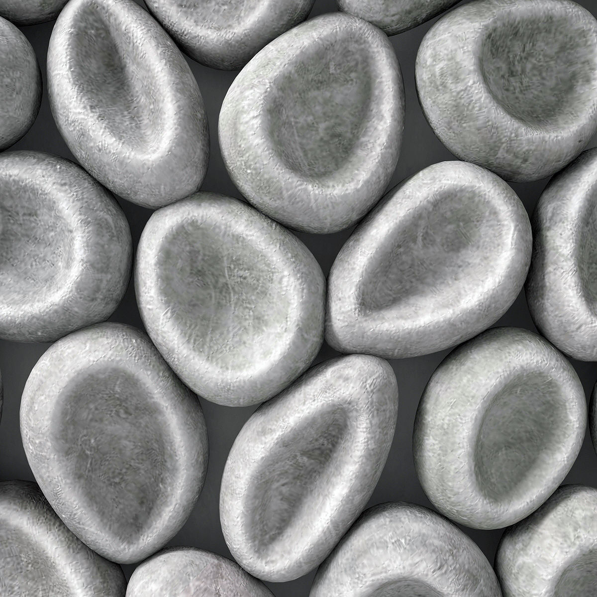 Panel decorative raisins 3D model_3