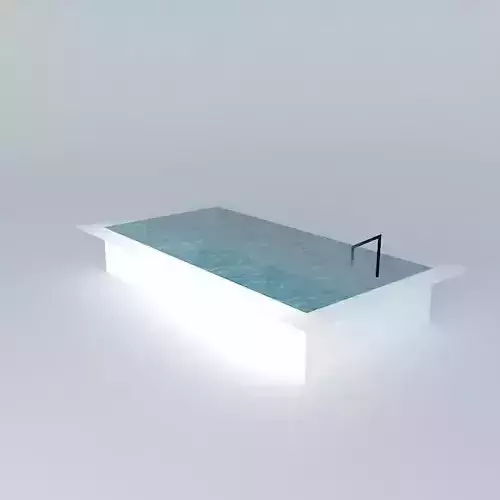 Swimming pool ladder