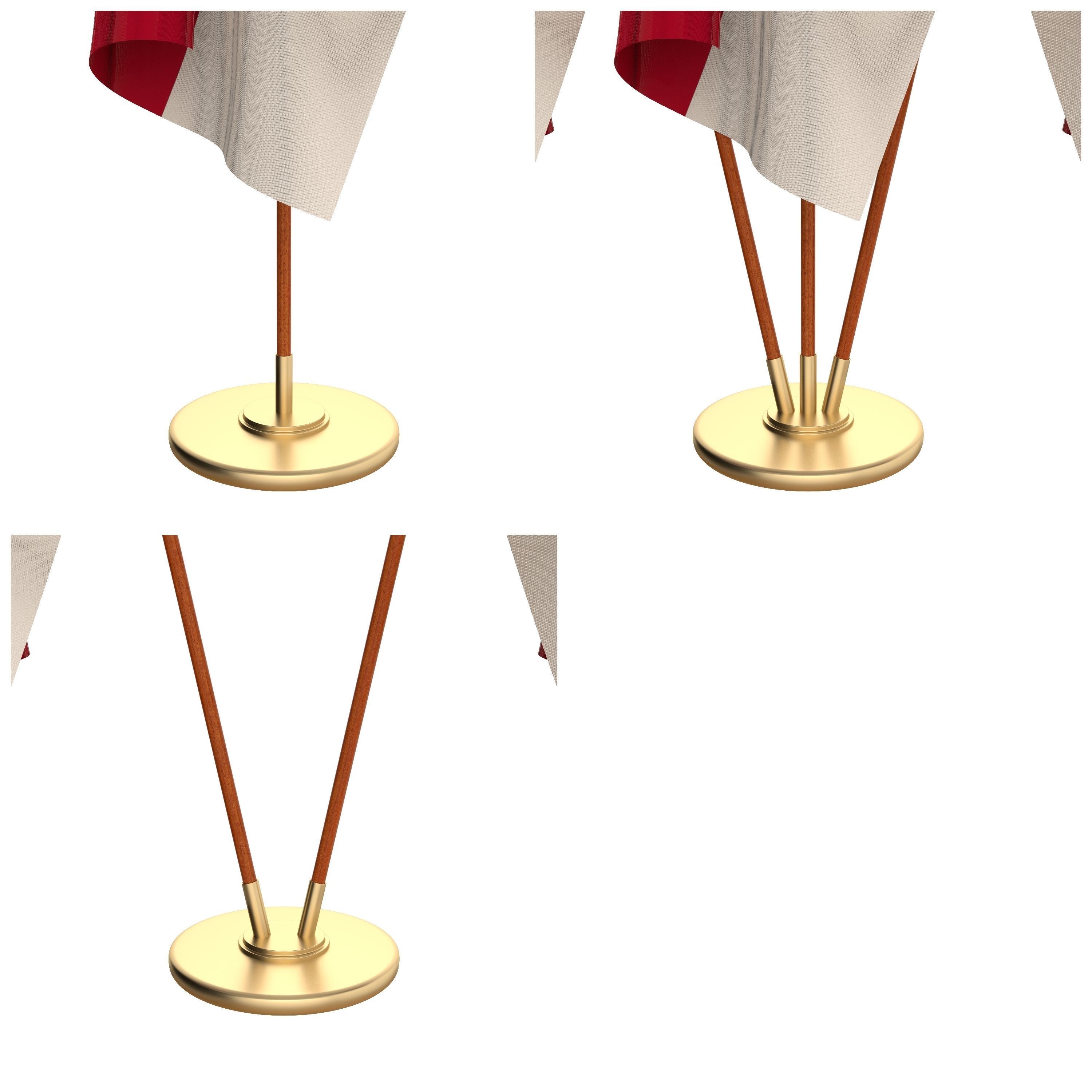 North Carolina Flag Pack 3D model_2