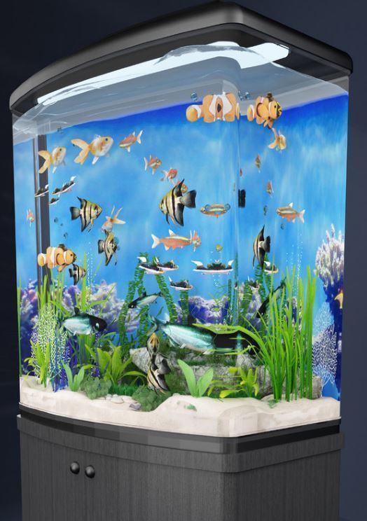 aquarium fish tank 3D model_3