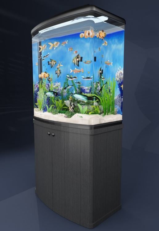 aquarium fish tank 3D model_2