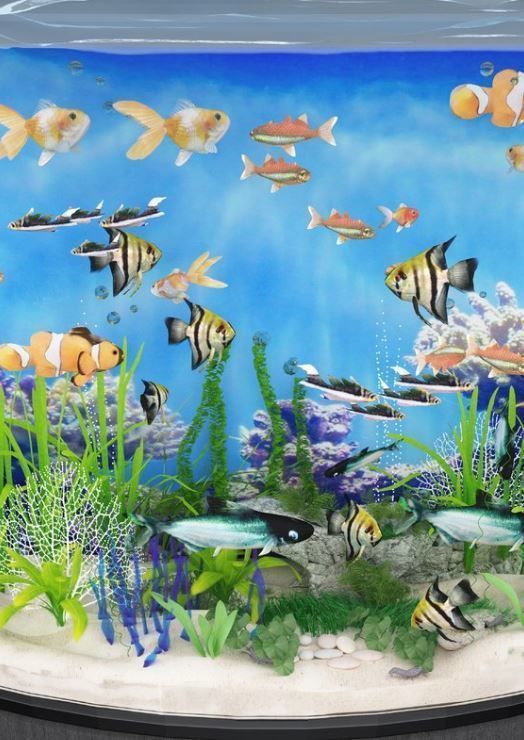 aquarium fish tank 3D model_4