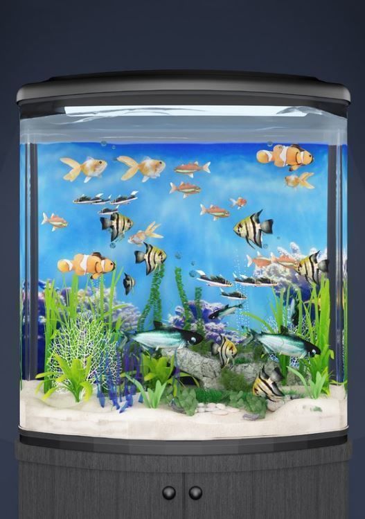aquarium fish tank 3D model_1