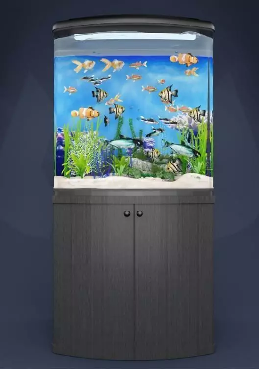 aquarium fish tank 3D model_0