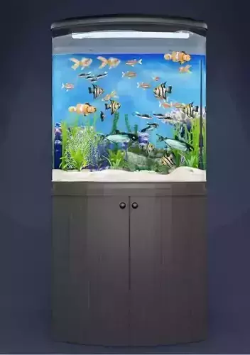 aquarium fish tank 3D model