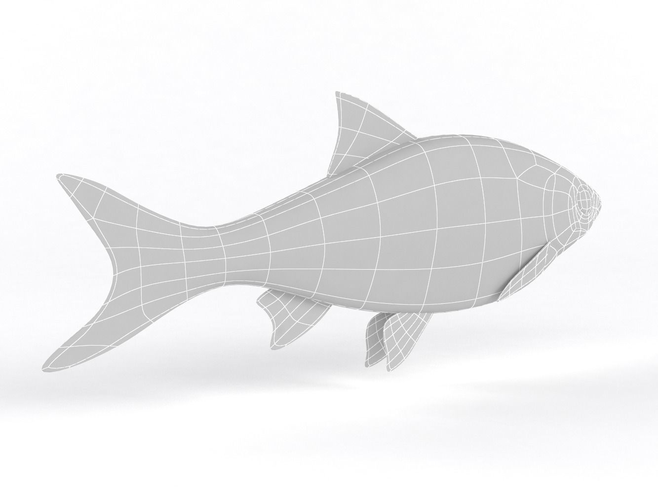 Roach Fish 3D model_8